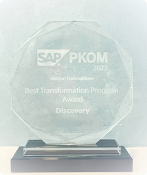  Award SAP "BEST TRANSFORMATION PROGRAM"