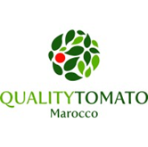 QUALITY TOMATO Marocco