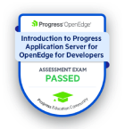                     Introduction to Progress Server for OpenEdge for Developers