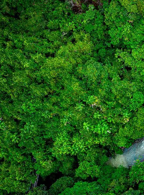 Nous intégrons la durabilité au cœur de notre activité et nous aidons nos clients à créer de la valeur durable