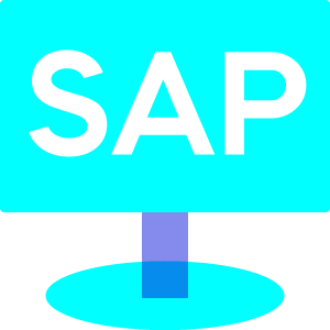 Une maitrise parfaite de la gamme de solutions SAP