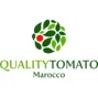 QUALITY TOMATO Marocco