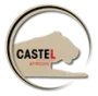 Groupe Castel